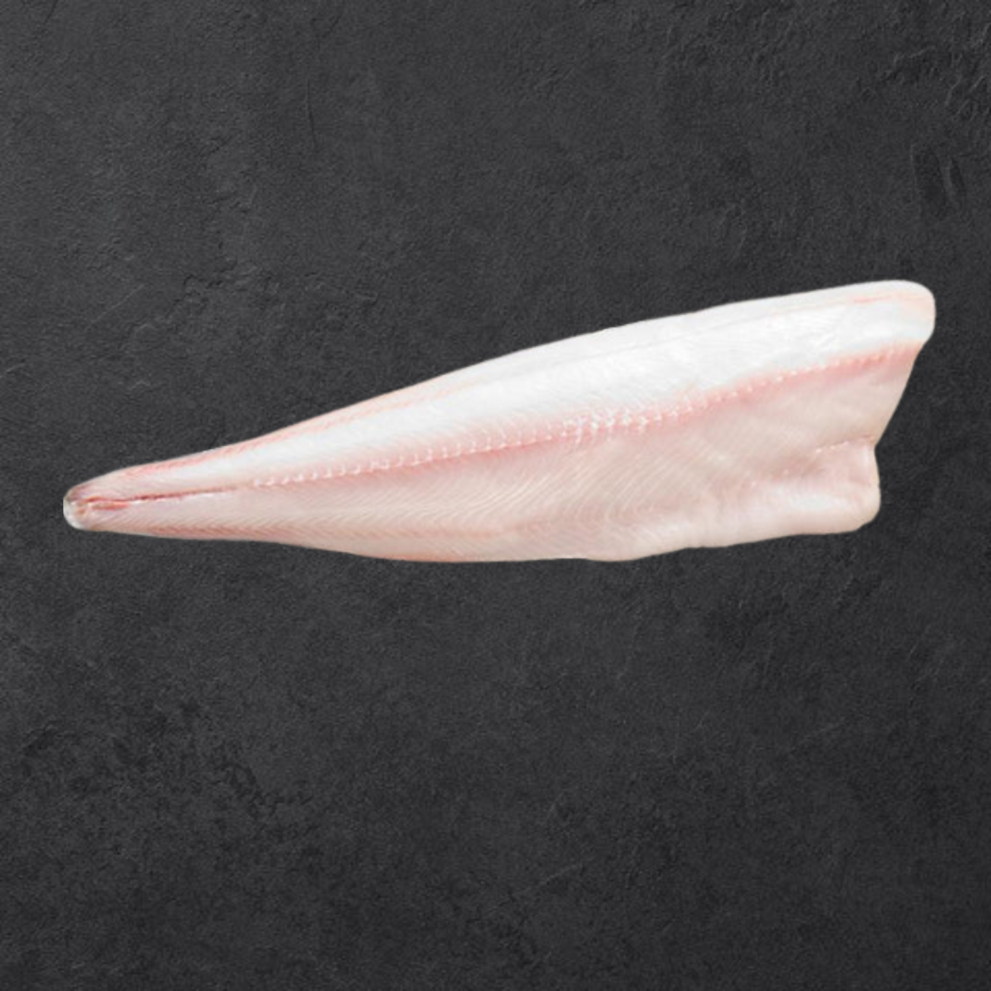 Black Cod Filet (Kohlefisch / Butterfisch) / Nordpazifik / Wildfang / ca. 600g