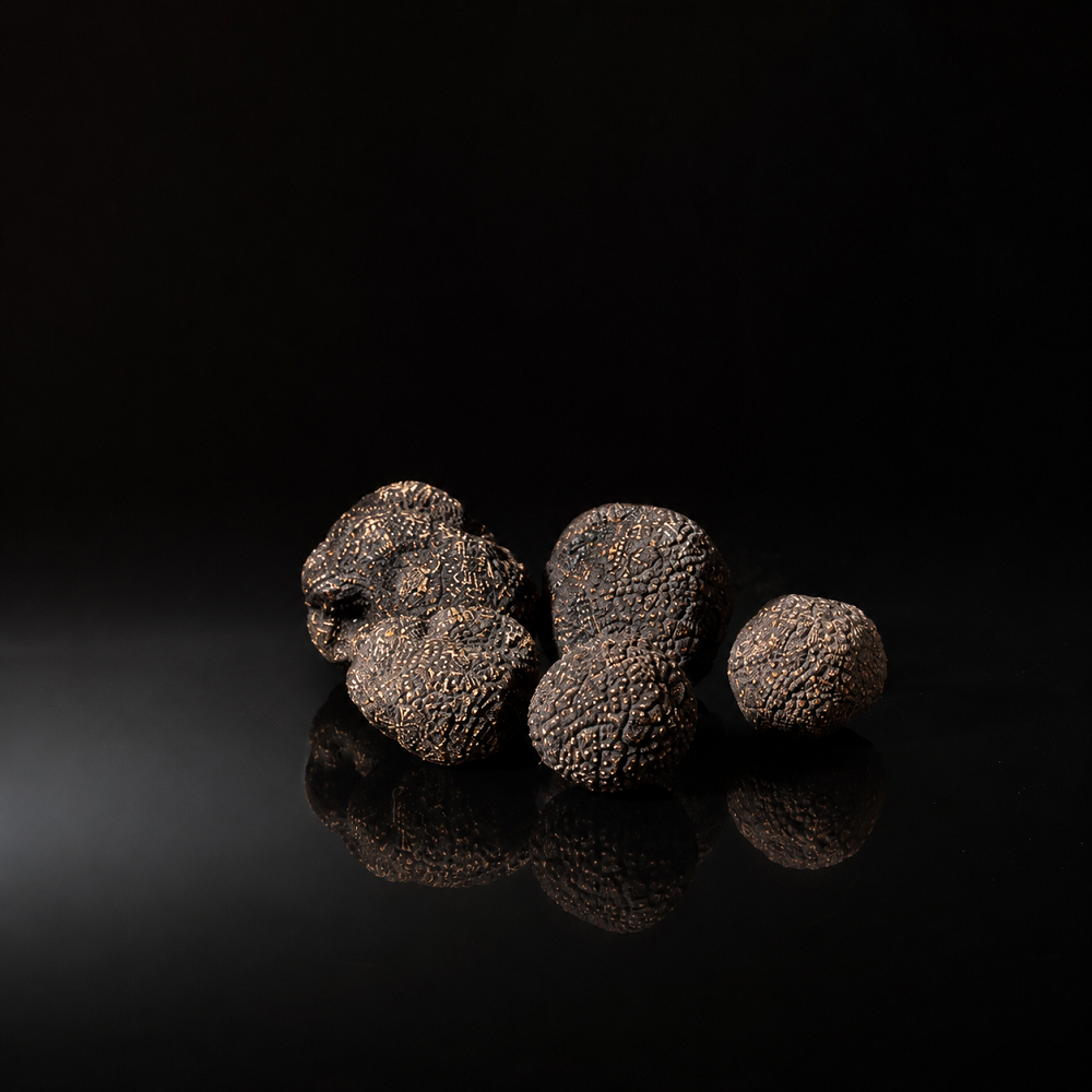 Périgord Trüffel | schwarz | Chile | ab 20 g