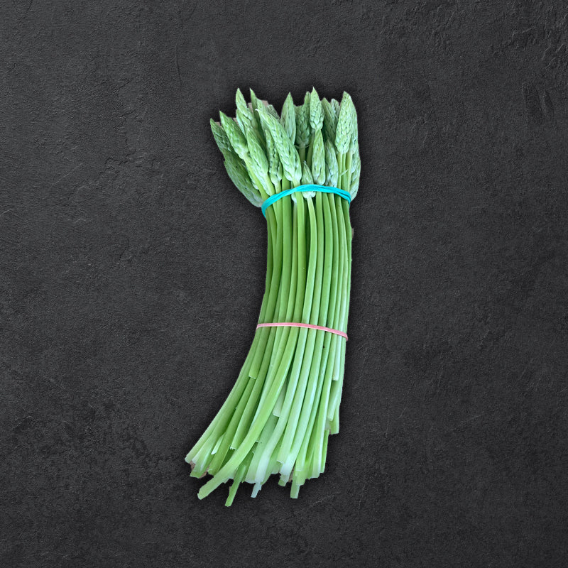 Wildspargeln | 200 g | Zucht