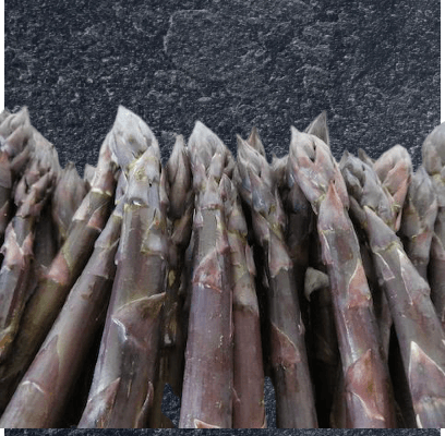 Violetta-Spargeln aus Flaach | Schweiz - Zürich | Rohkost-Spargel | Bund à 1 kg | solange Vorrat - Gourmet Depot AG