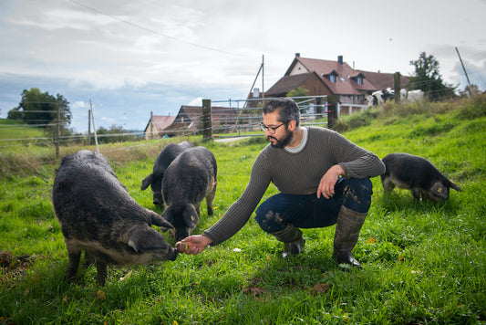 Neu: Schweizer Charcuterie-Spezialitäten vom Duroc- und Wollschwein