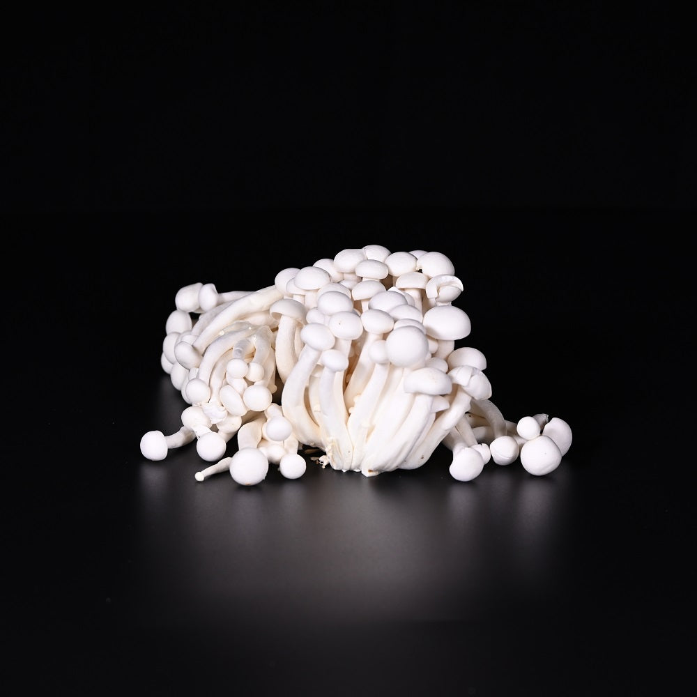 Shimeji | Zucht | 200 g