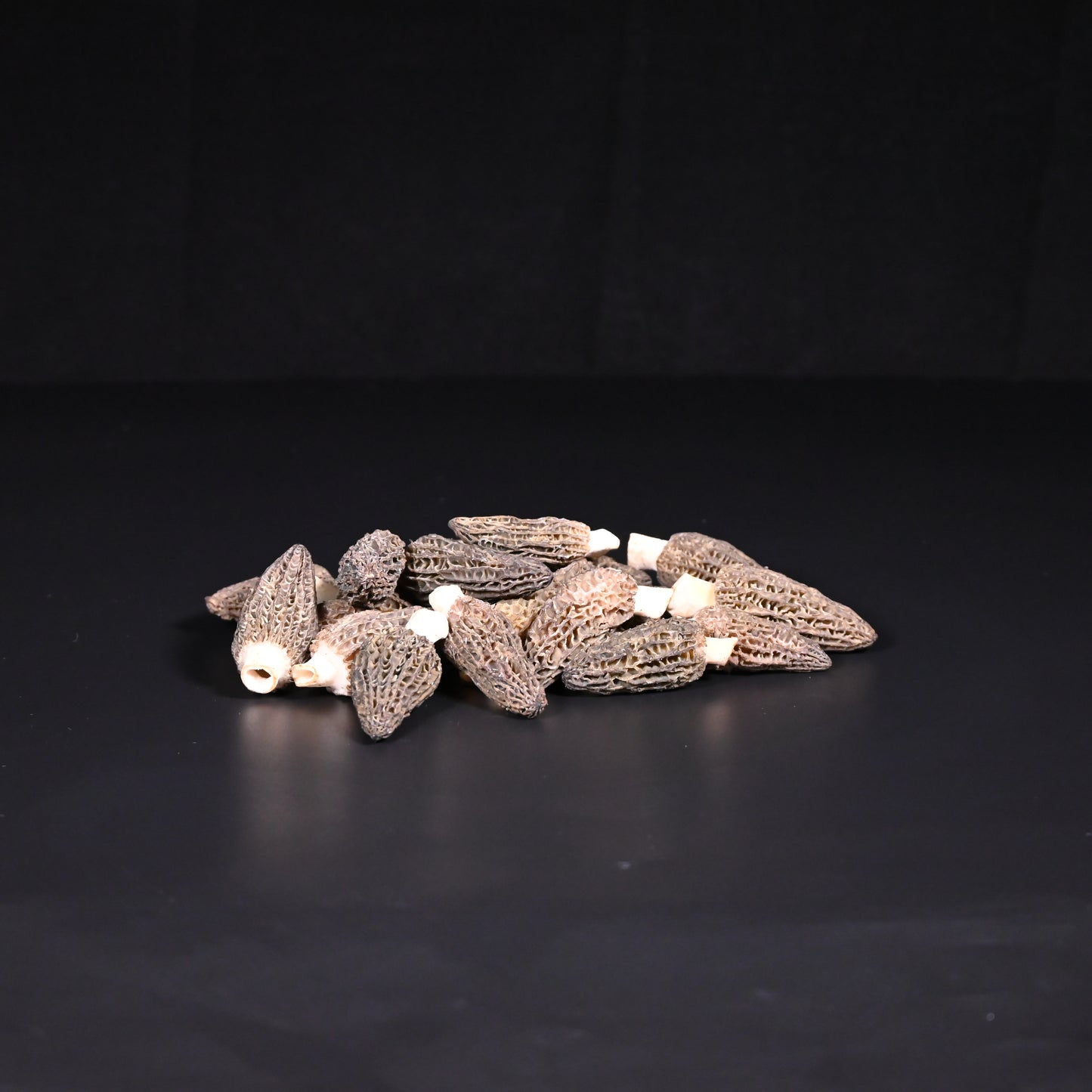 Morcheln | frisch | 200g