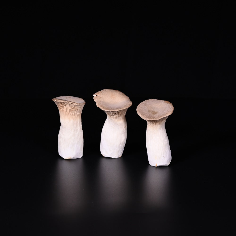 Kräuterseitlinge | Zucht | 200 g