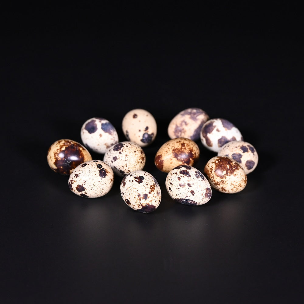 Wachteleier | CH | à 12 Stk