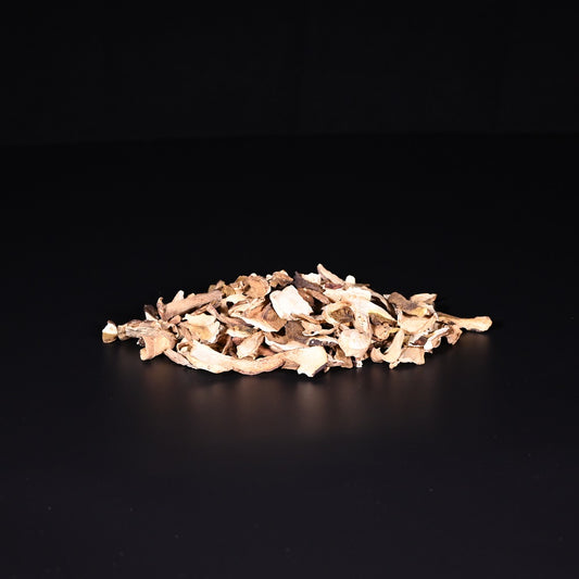 Steinpilze | getrocknet | Wild | 50 g