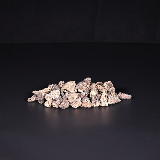 Spitz-Morcheln | getrocknet | Wild | 50 g