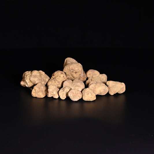 Frische weisse Trüffel (Tuber magnatum) aus Italien – Gourmet Depot