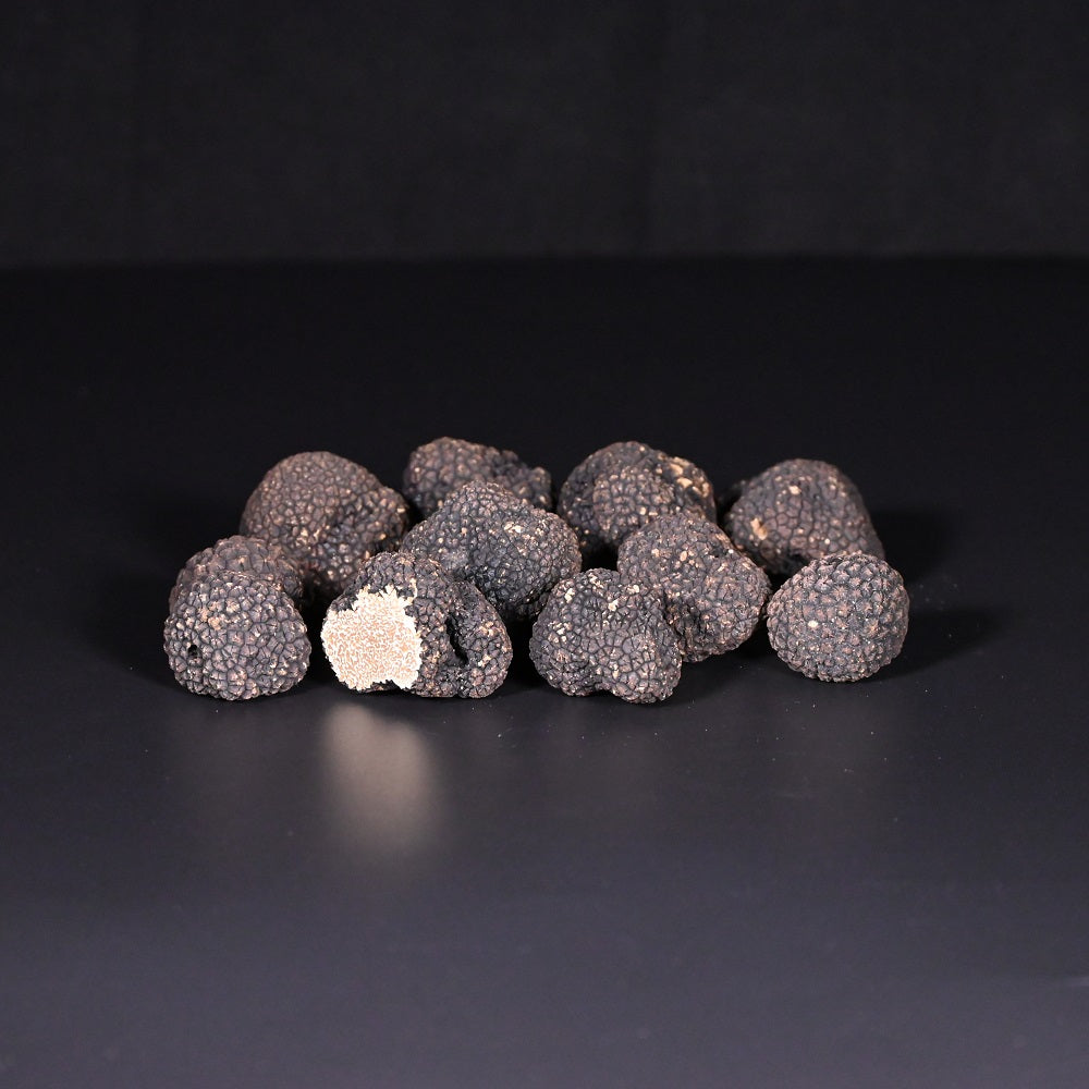 Herbst-Trüffel | frisch | IT | ab 20g |