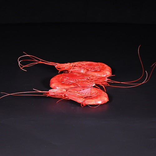 Carabineros | ganz | 1 kg | 8/10lb | lose gefroren