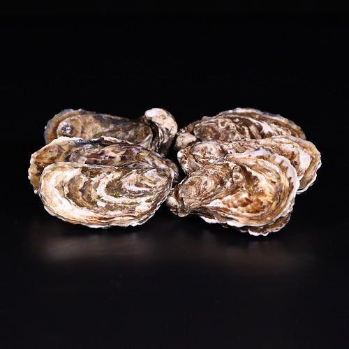 Gillardeau-Austern | roh | | Nr. 2 (90-105 g) | 24 Stück | Zucht | Frankreich | auf Vorbestellung