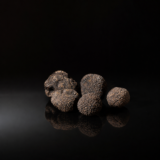 Périgord Trüffel | schwarz | Chile | ab 20 g