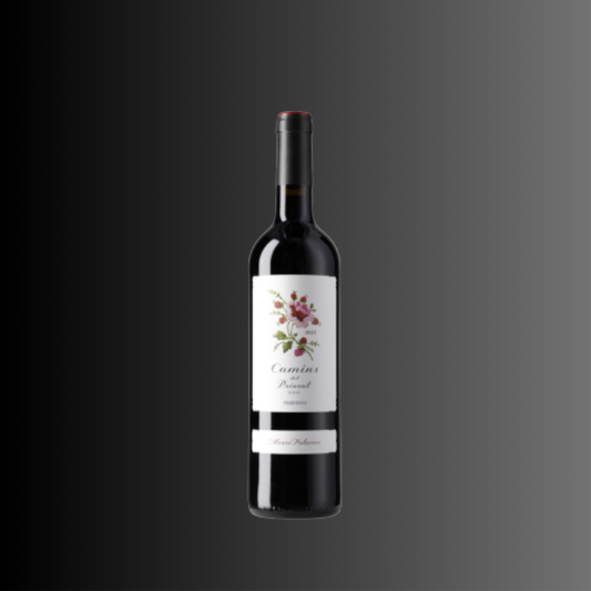 Camins del Priorat 2023 | Spanien | 75cl | 3 oder 6 Flaschen