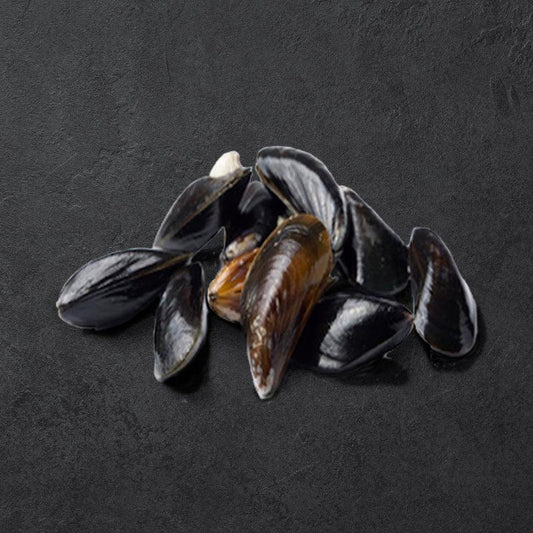 Miesmuscheln | frisch | DK | 2 kg - Gourmet Depot AG