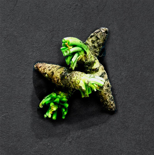 Wasabi | frisch | Zucht | 80-140 g - Gourmet Depot AG