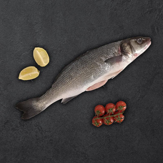 Wolfsbarsch (Loup de mer) ganz | Frankreich | Zucht | küchenfertig | ca. 800g - Gourmet Depot AG